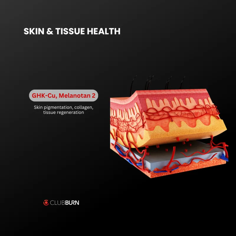 Skin & Tissue Health