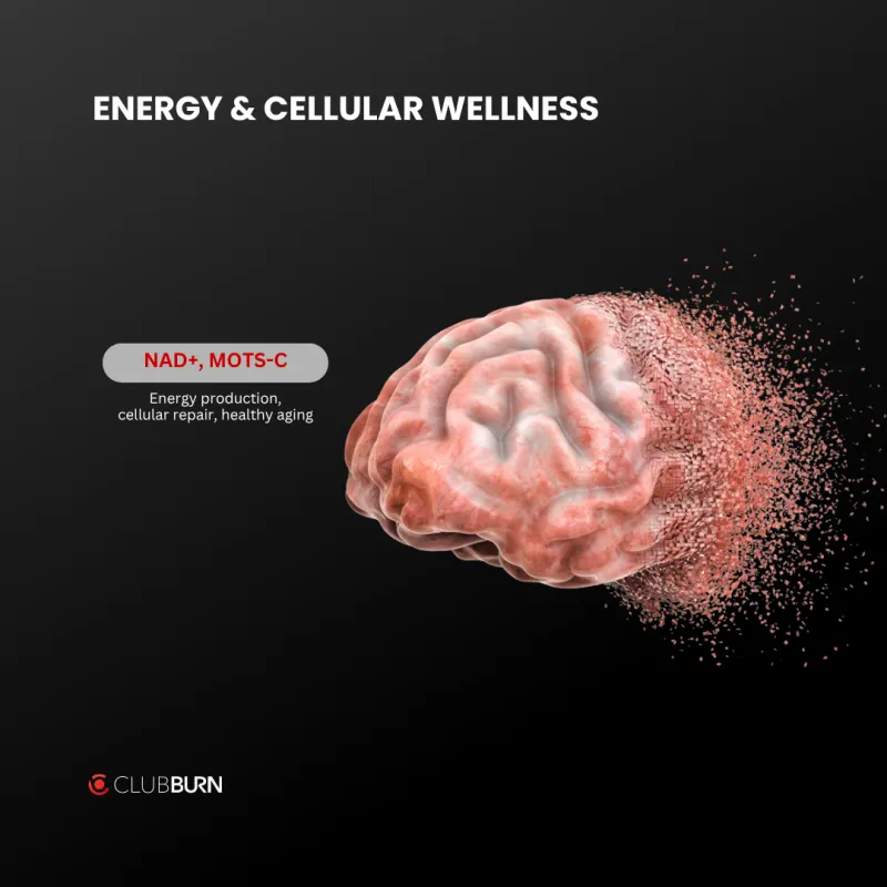 Energy & Cellular Wellness