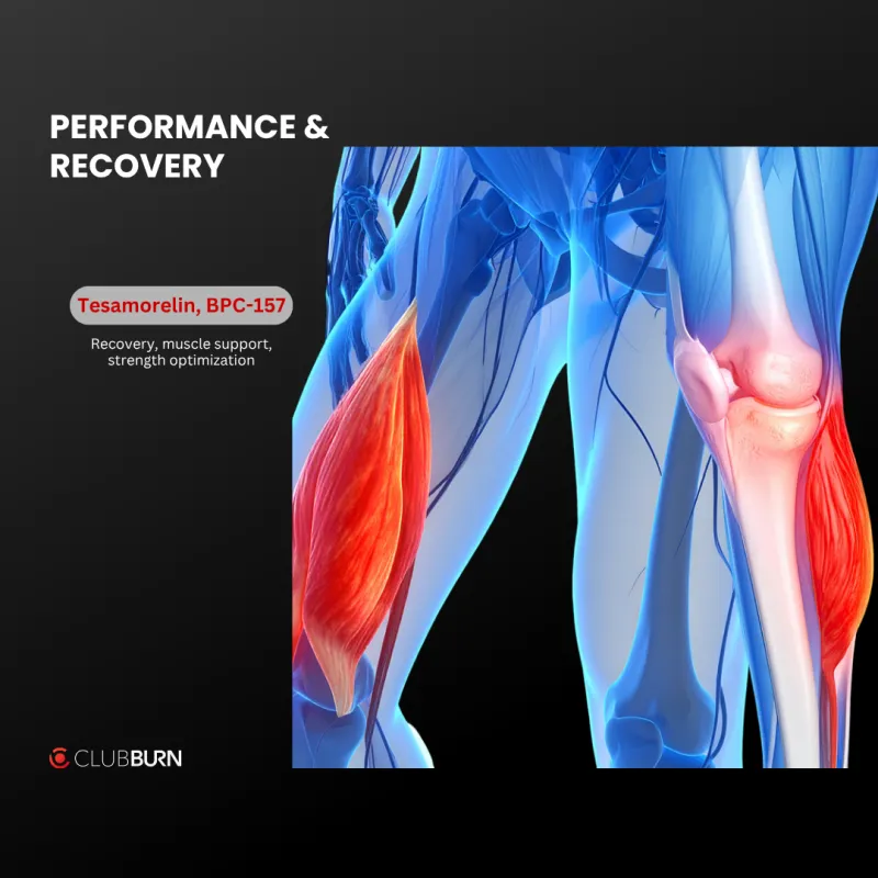 Performance & Recovery