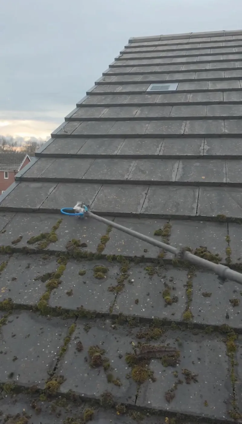 Roof cleaning with a telescopic pole