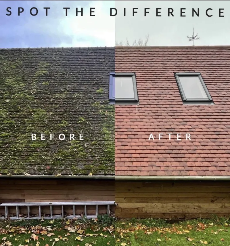 Roof moss removal, before and after