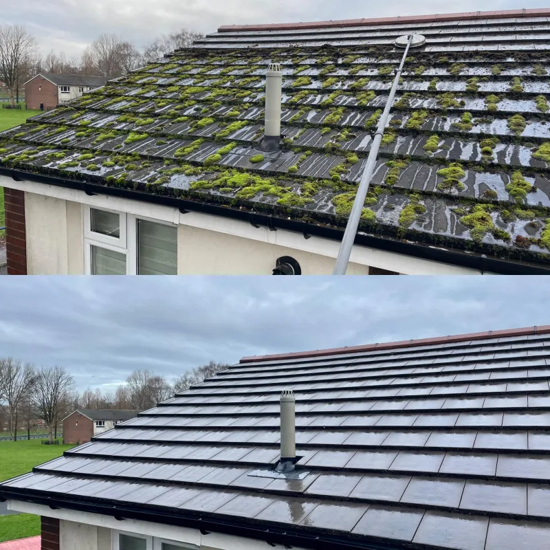Moss cleared from a roof and gutters