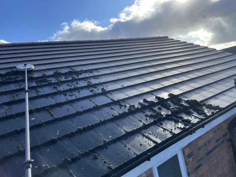 Roof tiles before and after moss removal