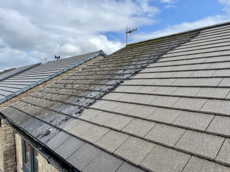 Roof cleaning in progress from a pole