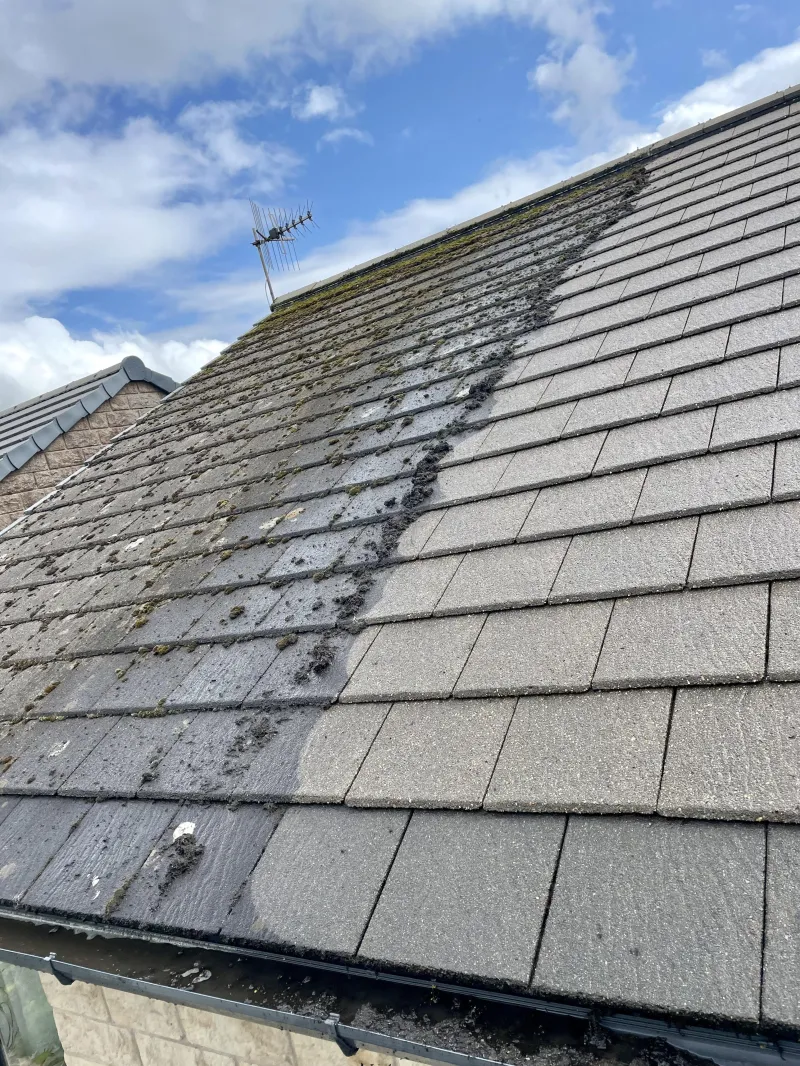 Moss removal on a tiled roof