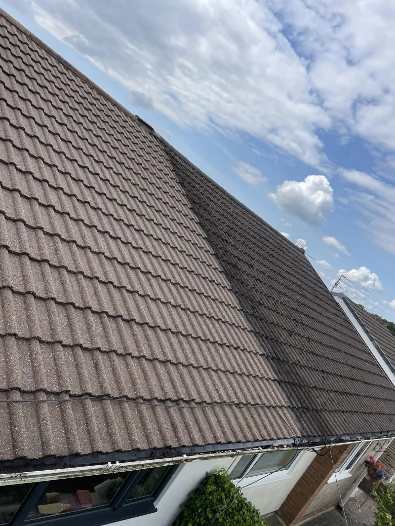 Steam-cleaned roof tiles, before and after