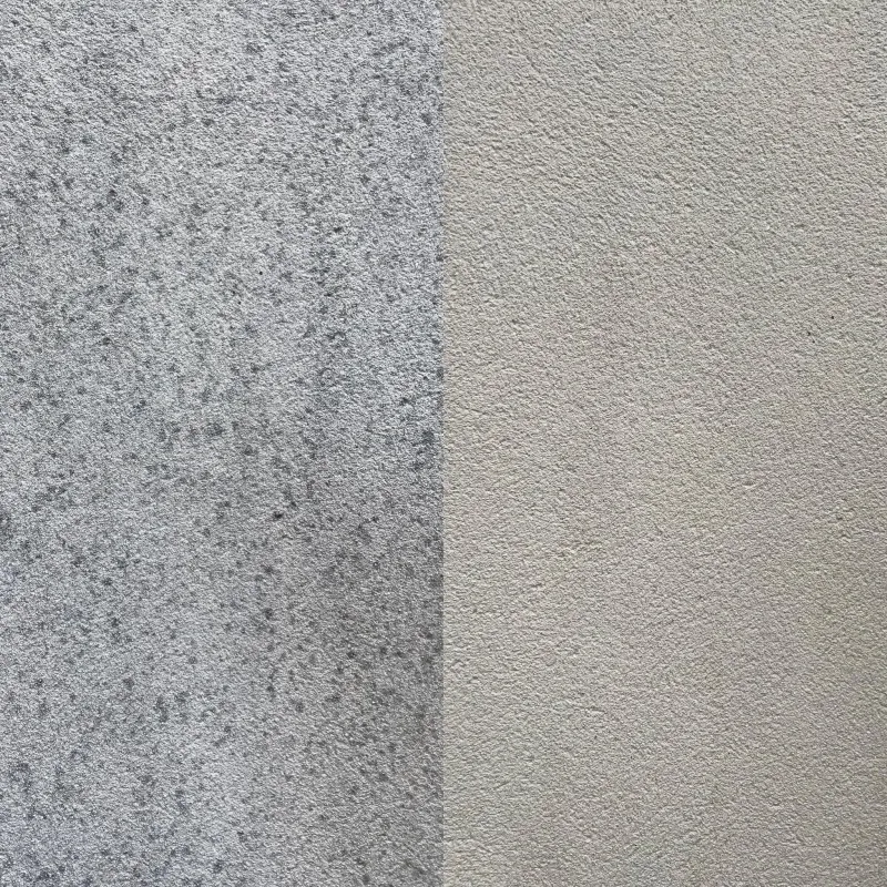 Render soft washed, before and after close-up