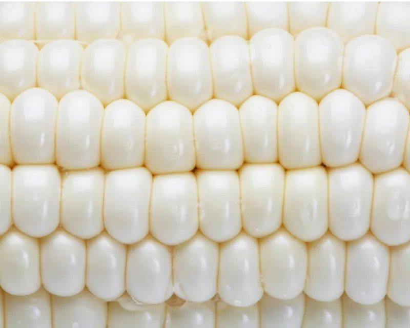 White Maize