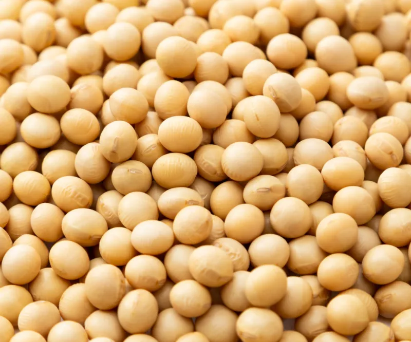 Soya Beans