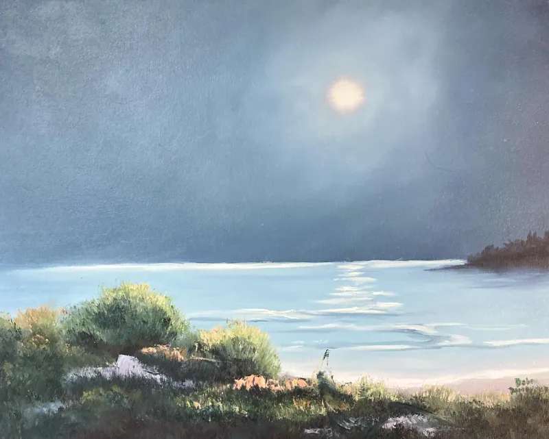 Quiet Tide