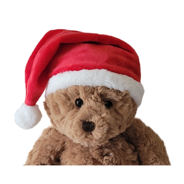 Christmas Hat Only (Removable)