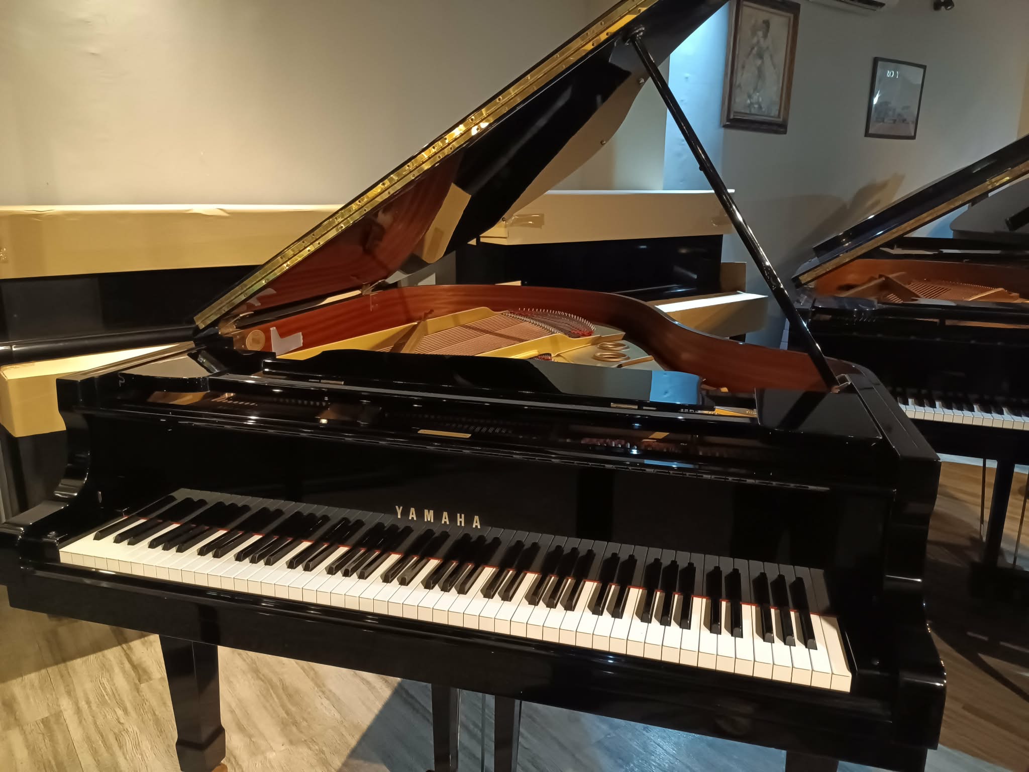 Yamaha Grand Piano C3B-1558596