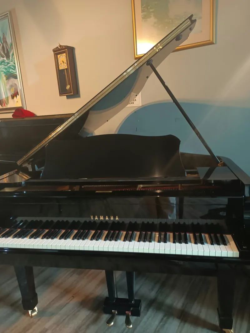 Yamaha Grand Piano C3B-1558596
