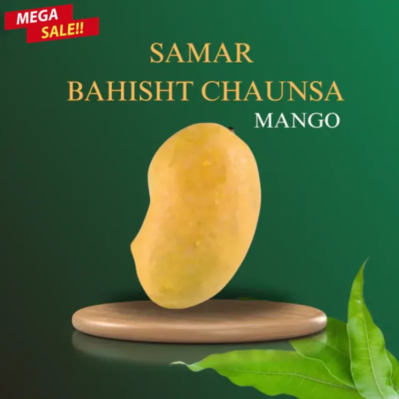 Mosambi Chaunsa