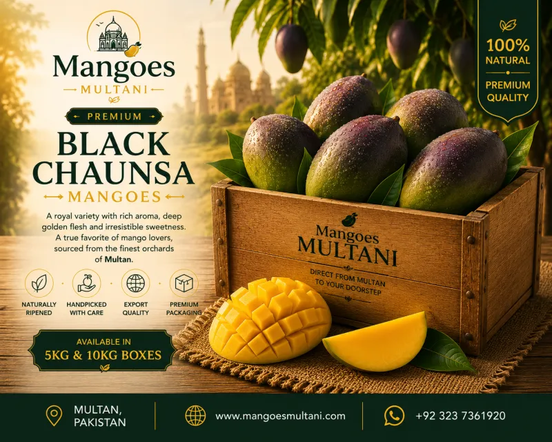 Multani Black Chaunsa