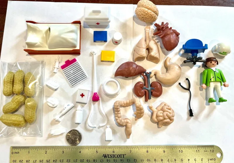 Medical, Illness, and Recovery Sand Tray Expansion Kit (#010)