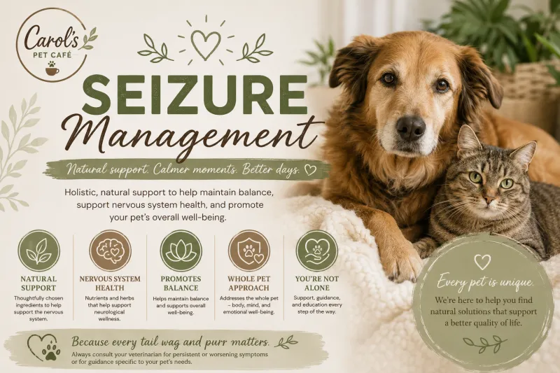 Seizure Management