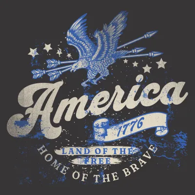 USA Design 2