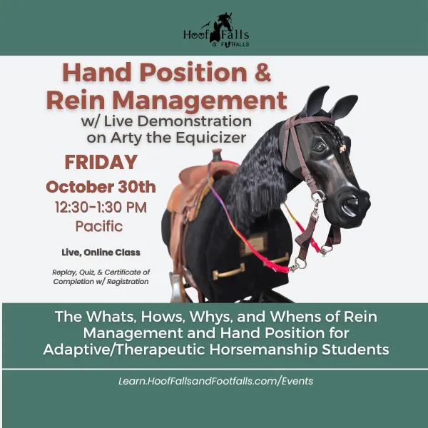 Hand & Rein Management with Arty the Equicizer