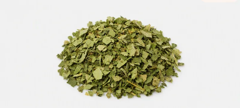 Alfalfa Leaf
