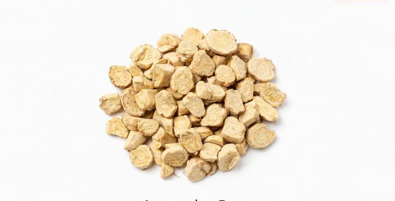 Astragalus Root