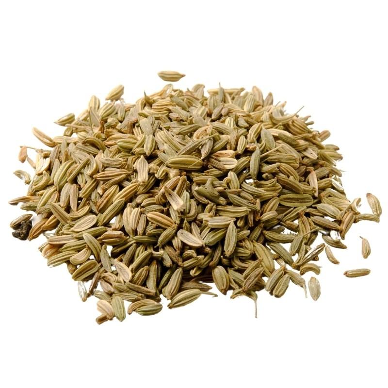 Fennel