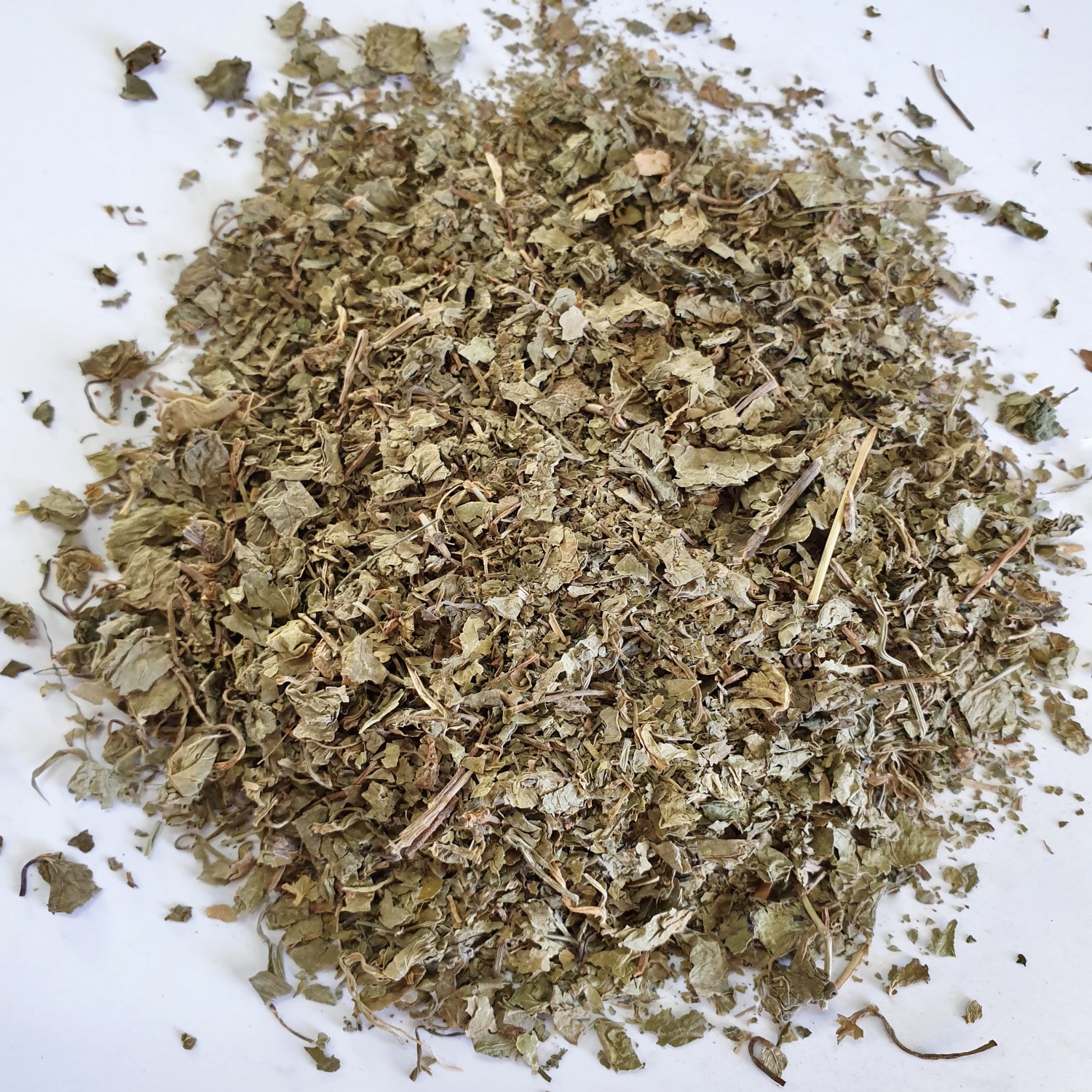 Gotu Kola