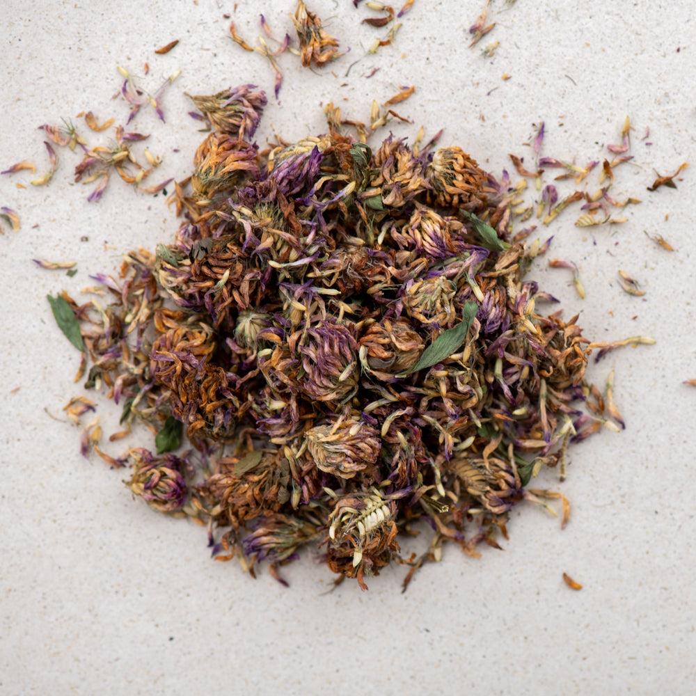 Red Clover