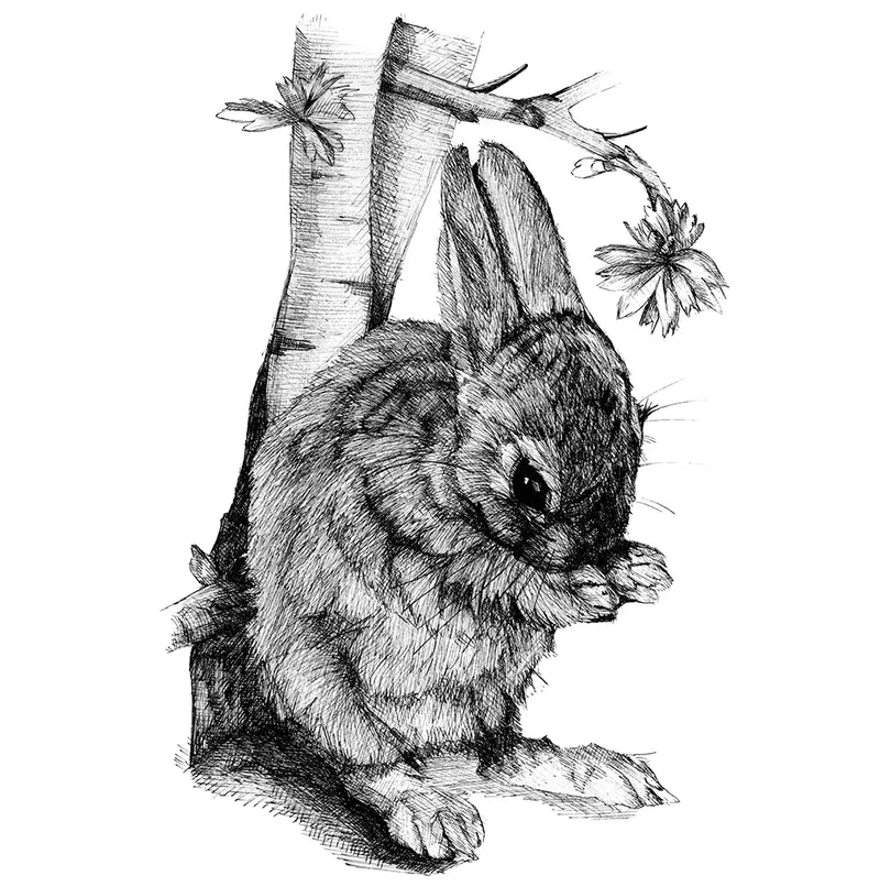 Rural Wildlife