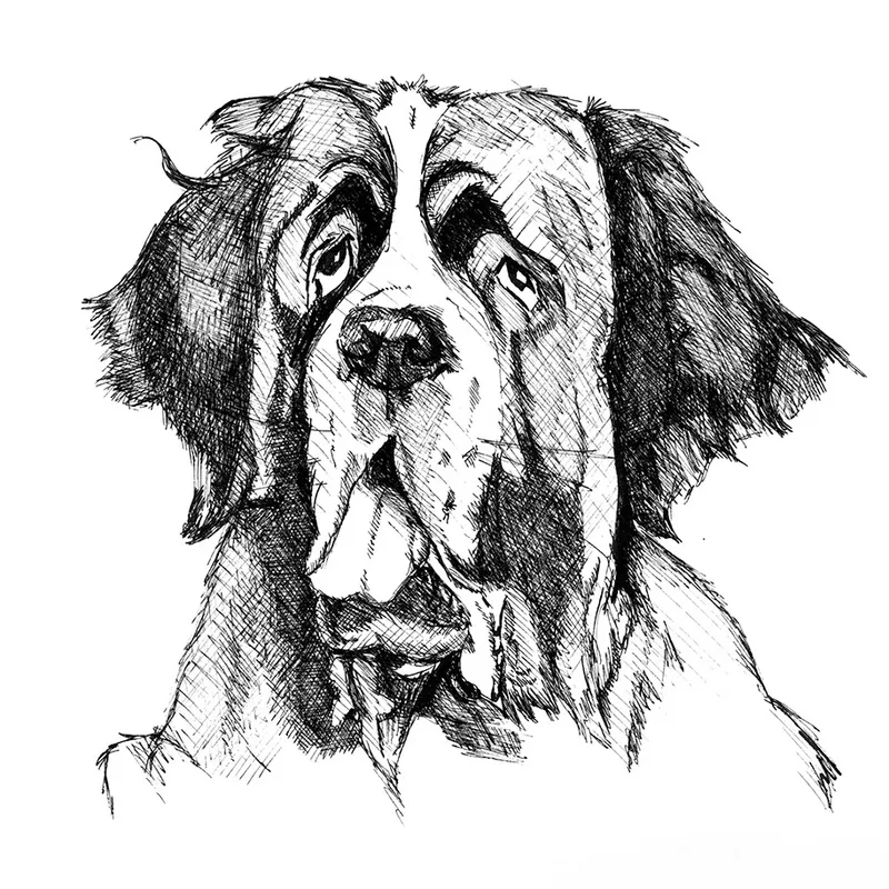Dogs