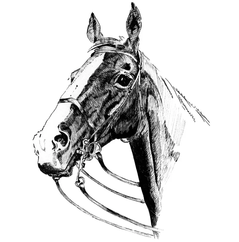 Horses