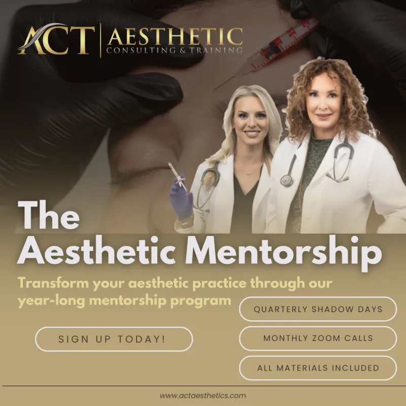 The Aesthetic Mentorship 1-Year 