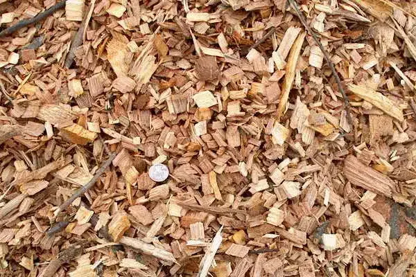 Arborist Wood Chips