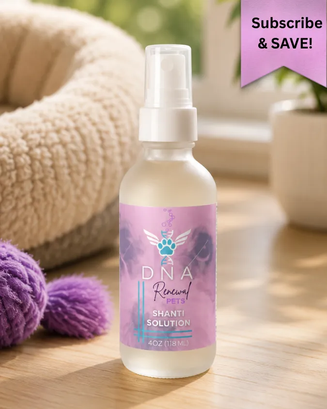 SHANTI SOLUTION | Subscribe & Save!