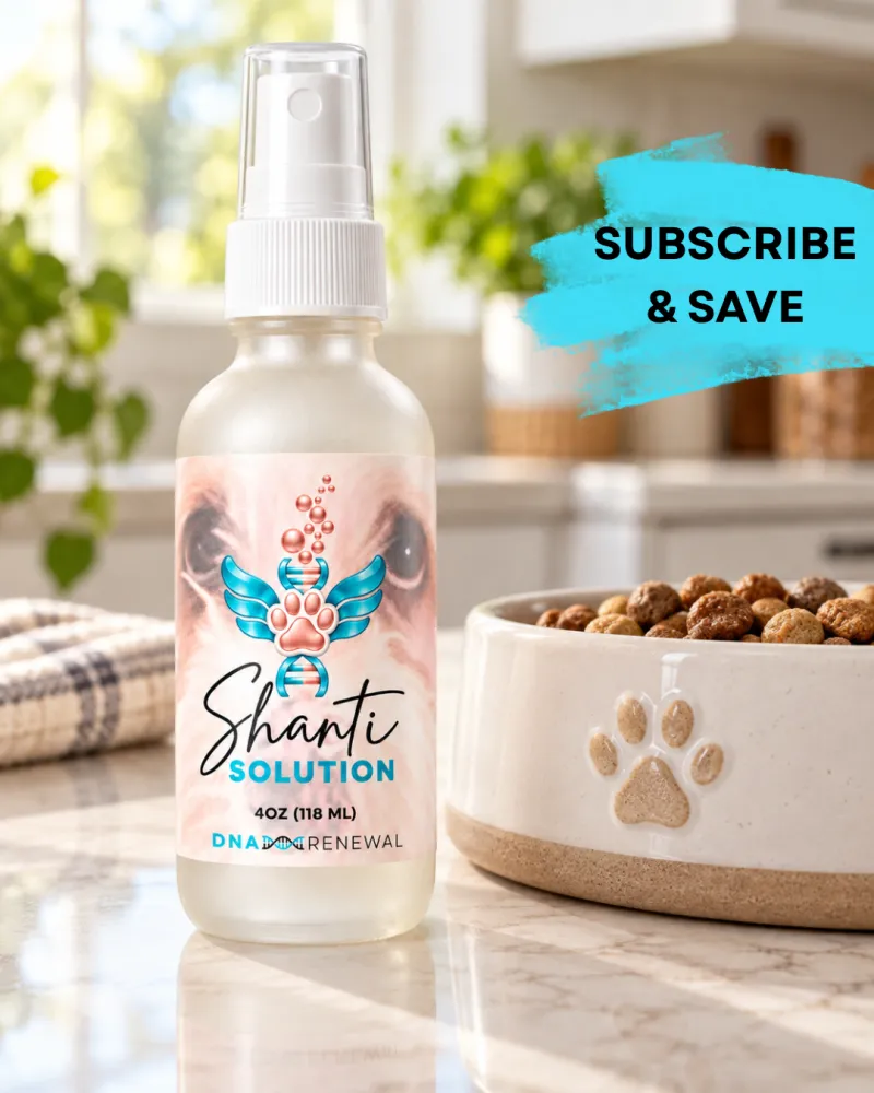 SHANTI SOLUTION | SUBSCRIBE & SAVE!!