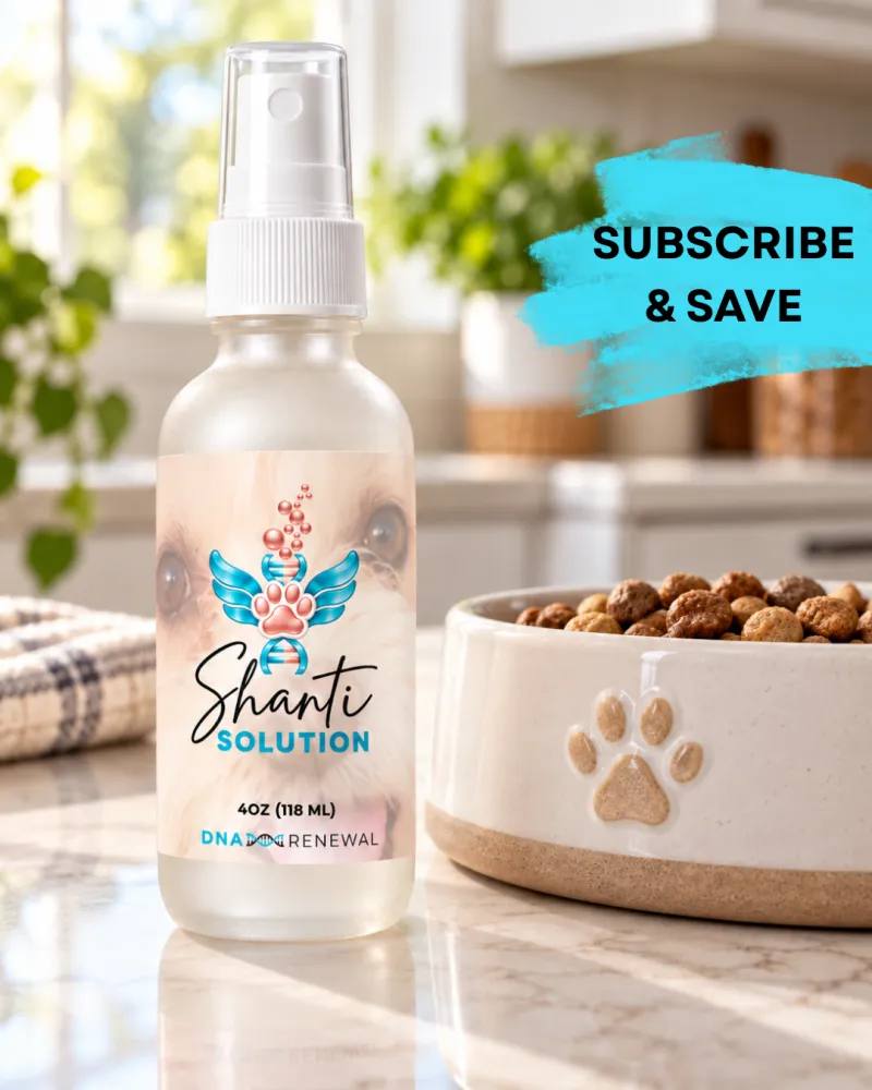 SHANTI SOLUTION | SUBSCRIBE & SAVE!!