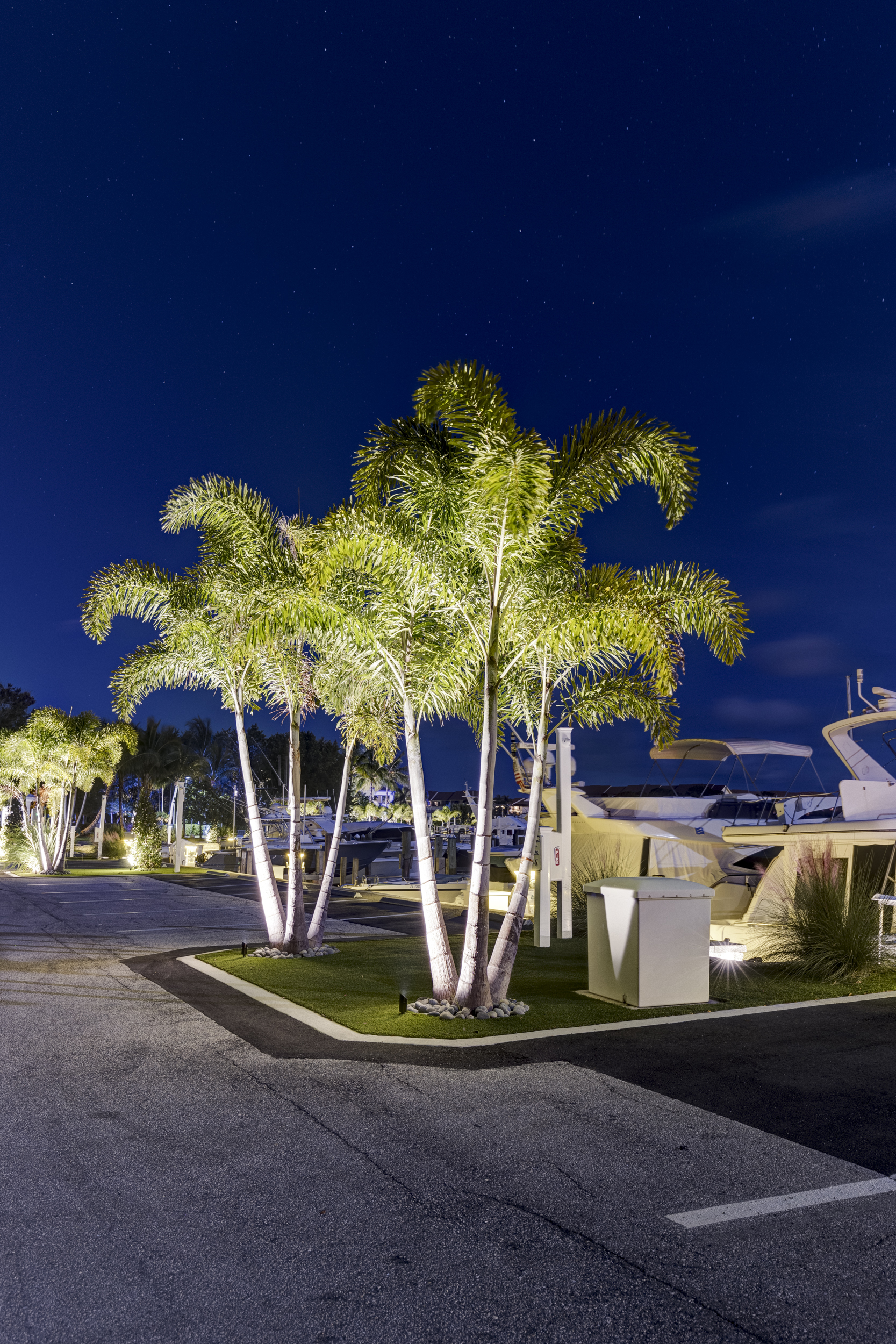 The marina after dark — photograph 42