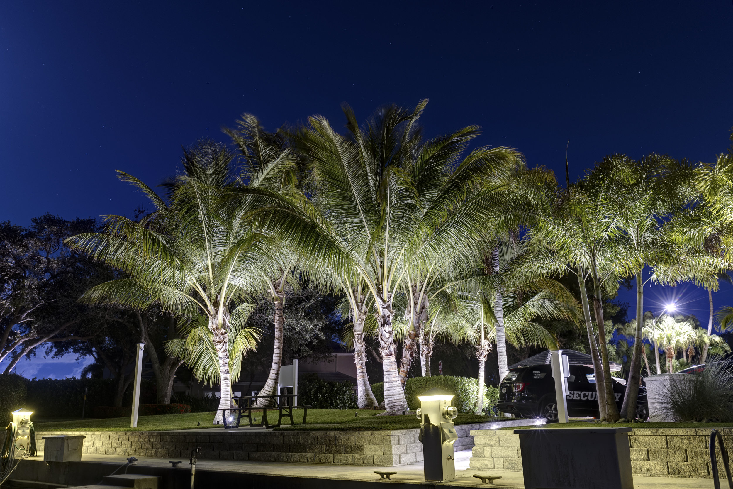 The marina after dark — photograph 35