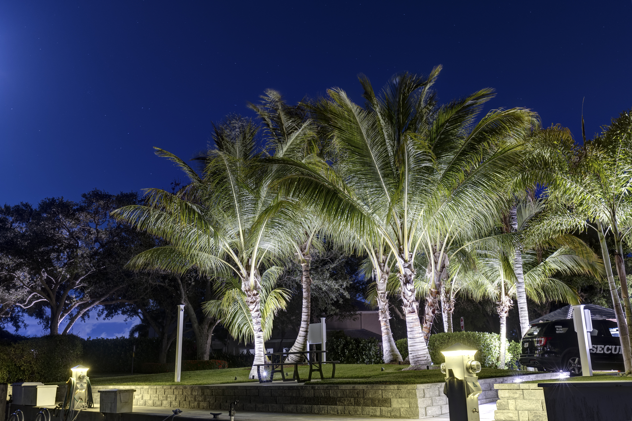 The marina after dark — photograph 34