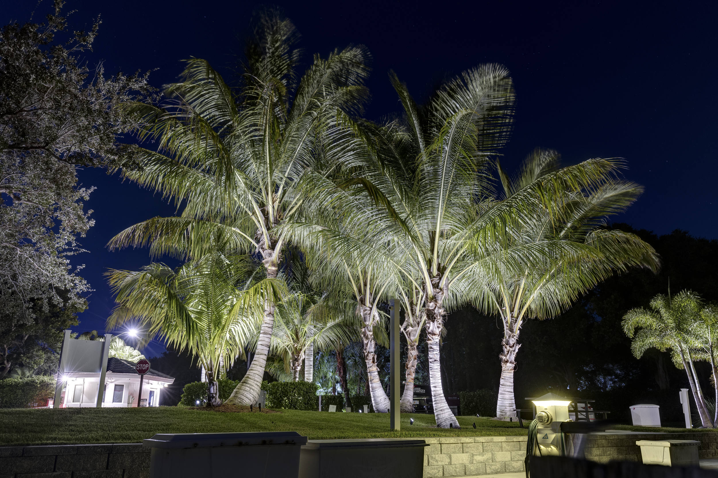 The marina after dark — photograph 32