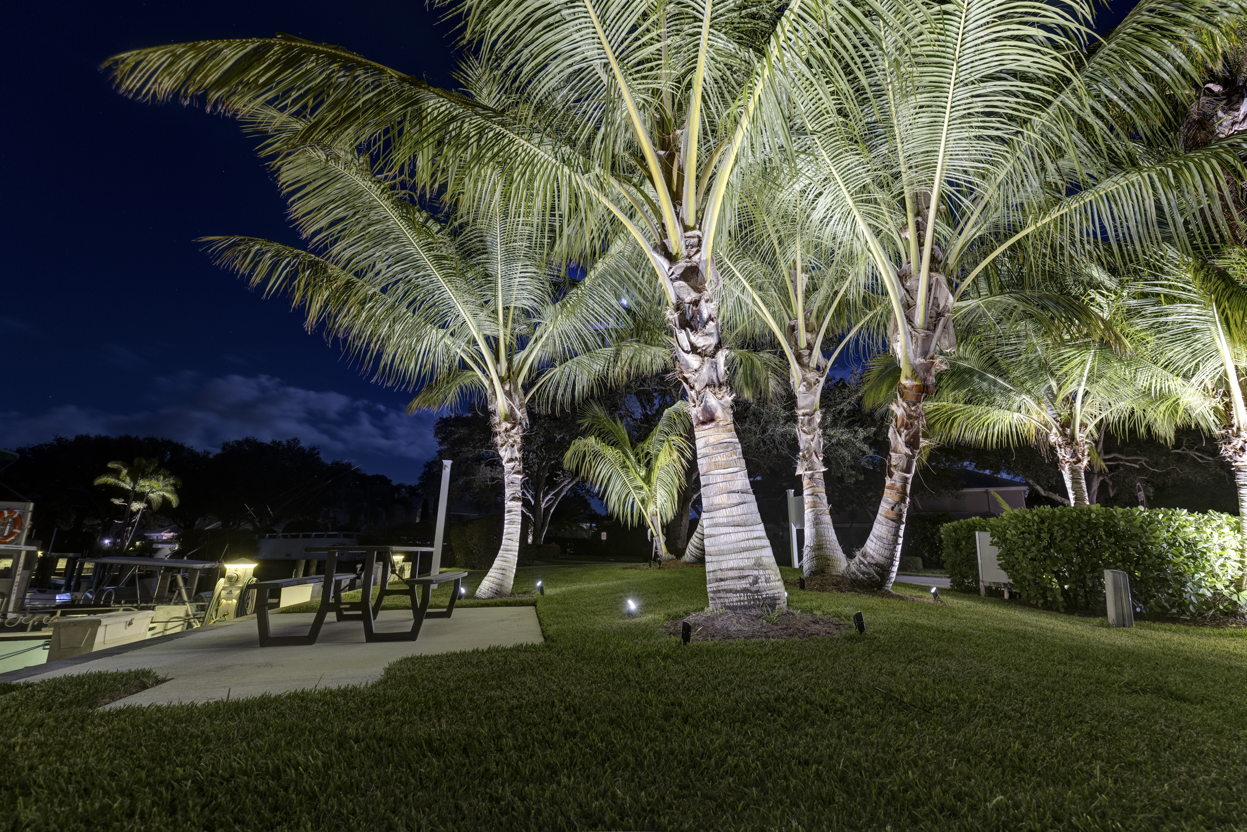 The marina after dark — photograph 30