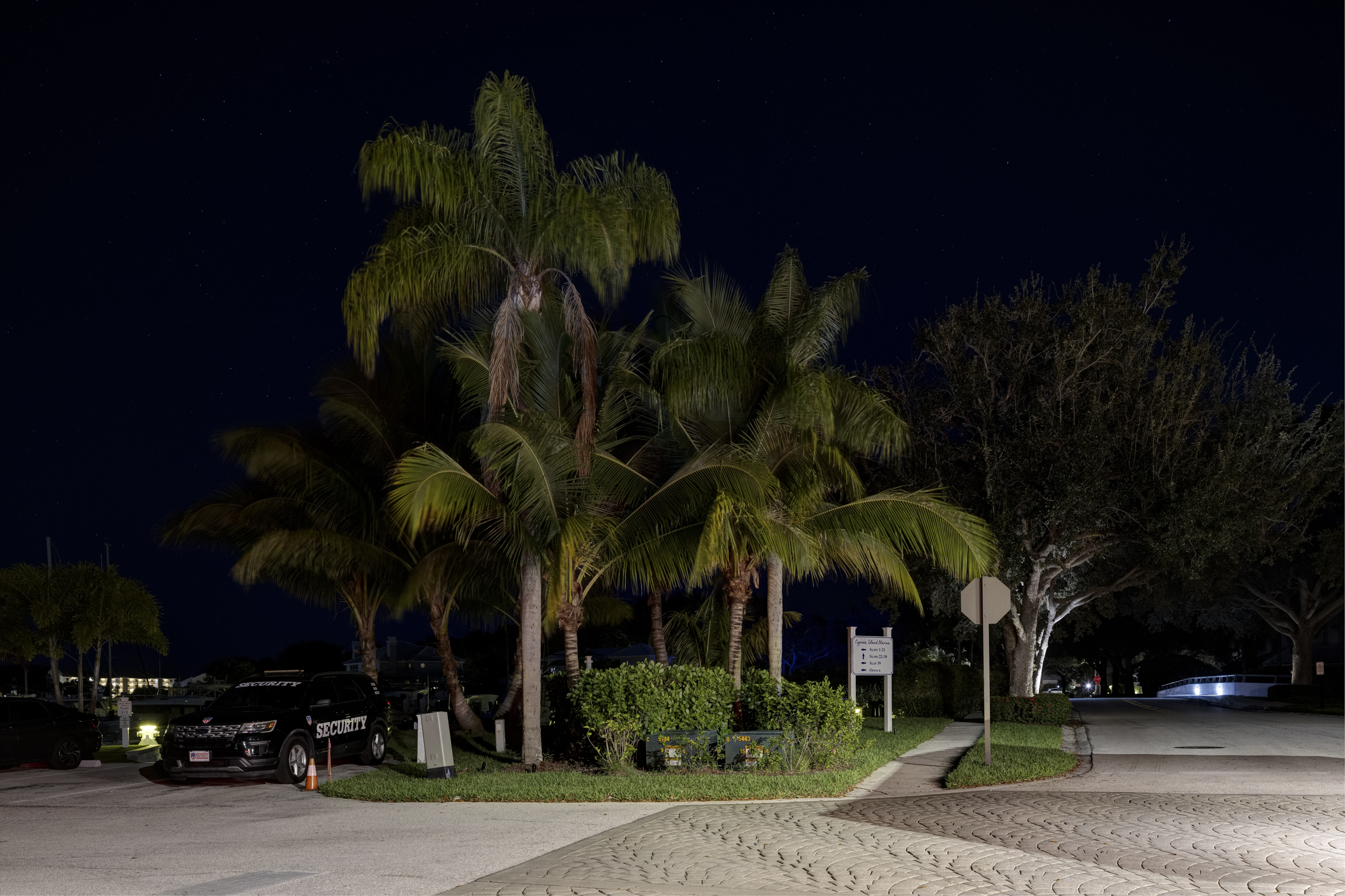 The marina after dark — photograph 14