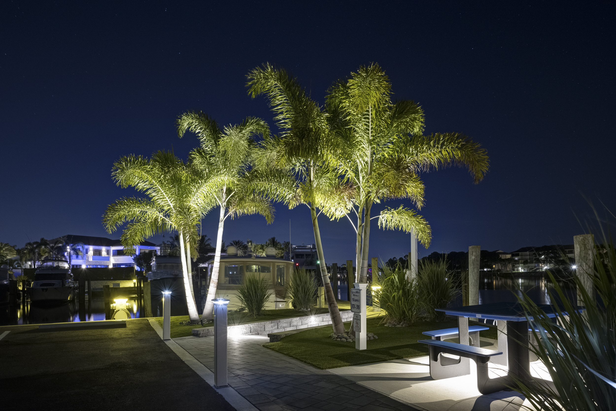 The marina after dark — photograph 7