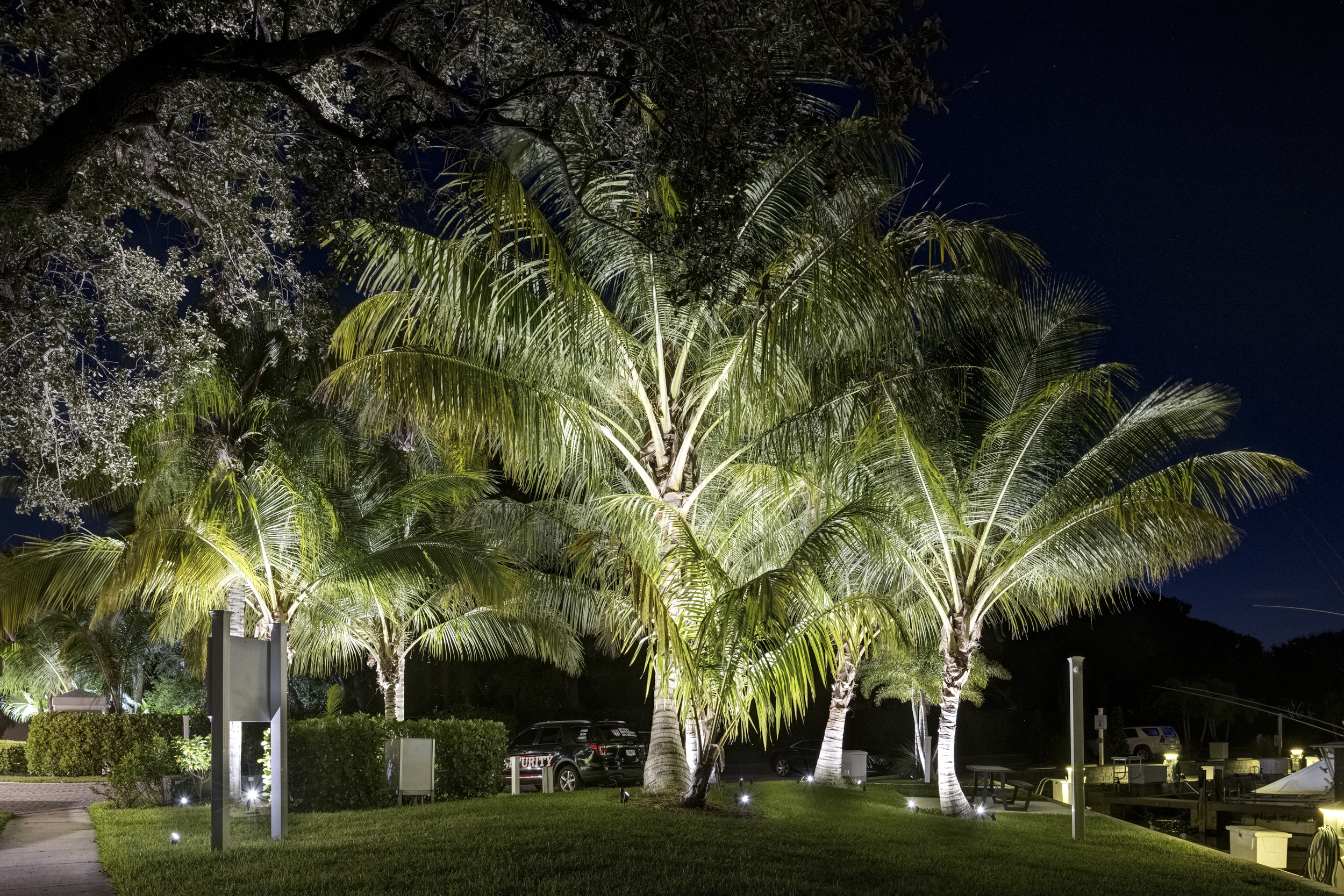 The marina after dark — photograph 5