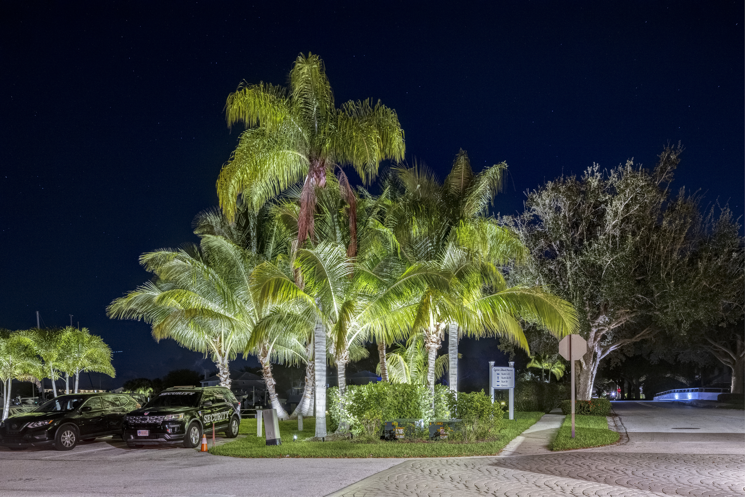 The marina after dark — photograph 6