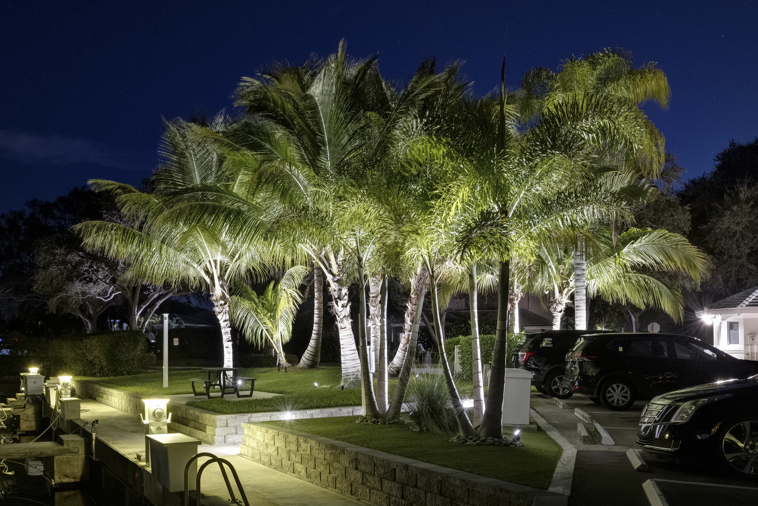 The marina after dark — photograph 4