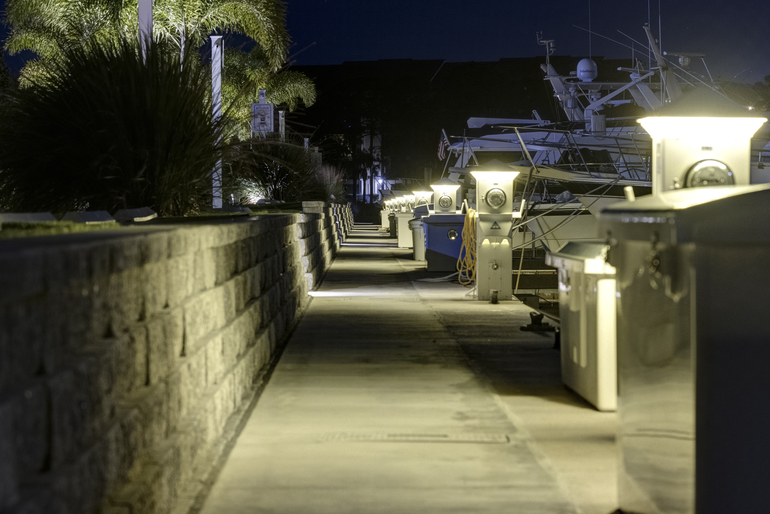 The marina after dark — photograph 1