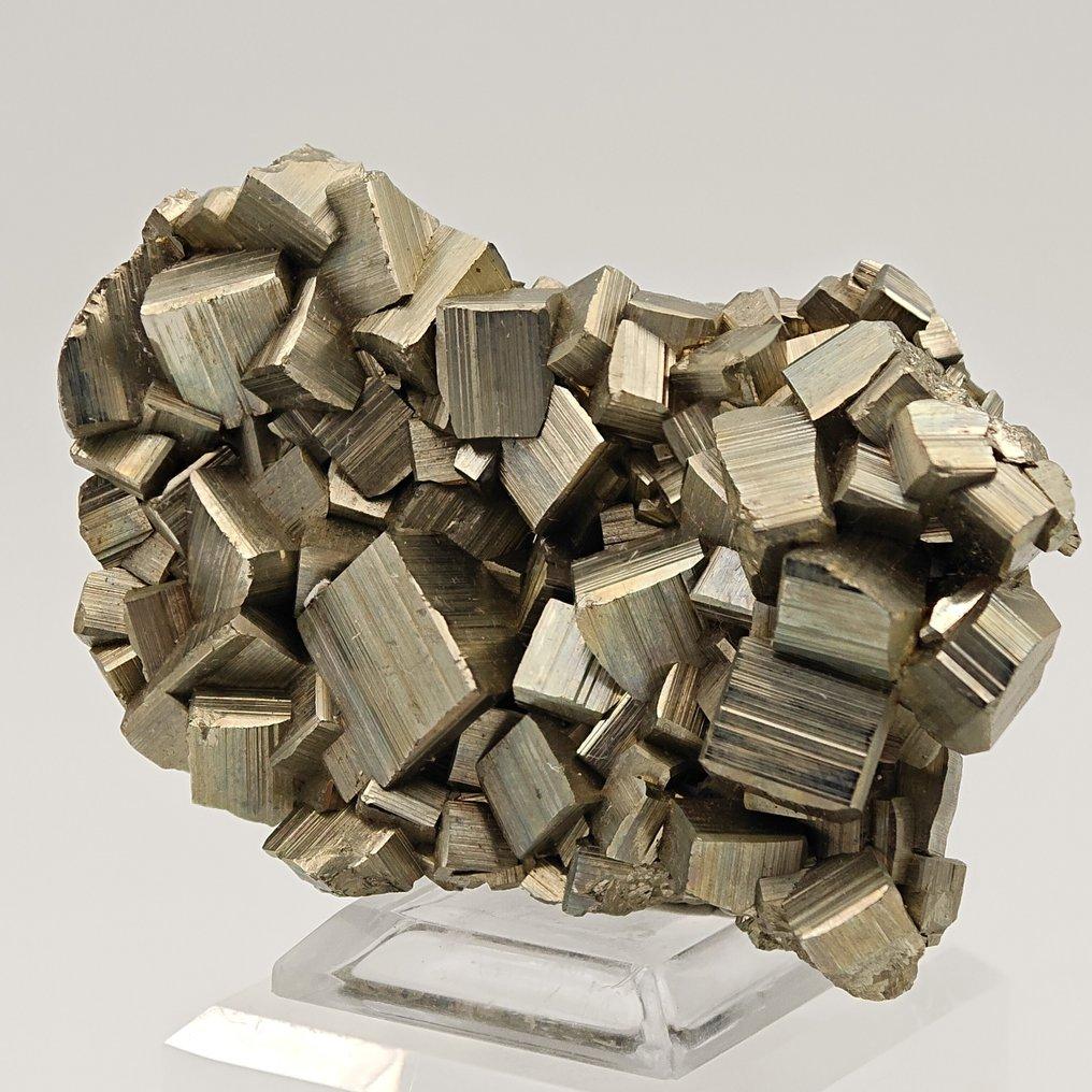 Pyrite "Fool's Gold" Specimen