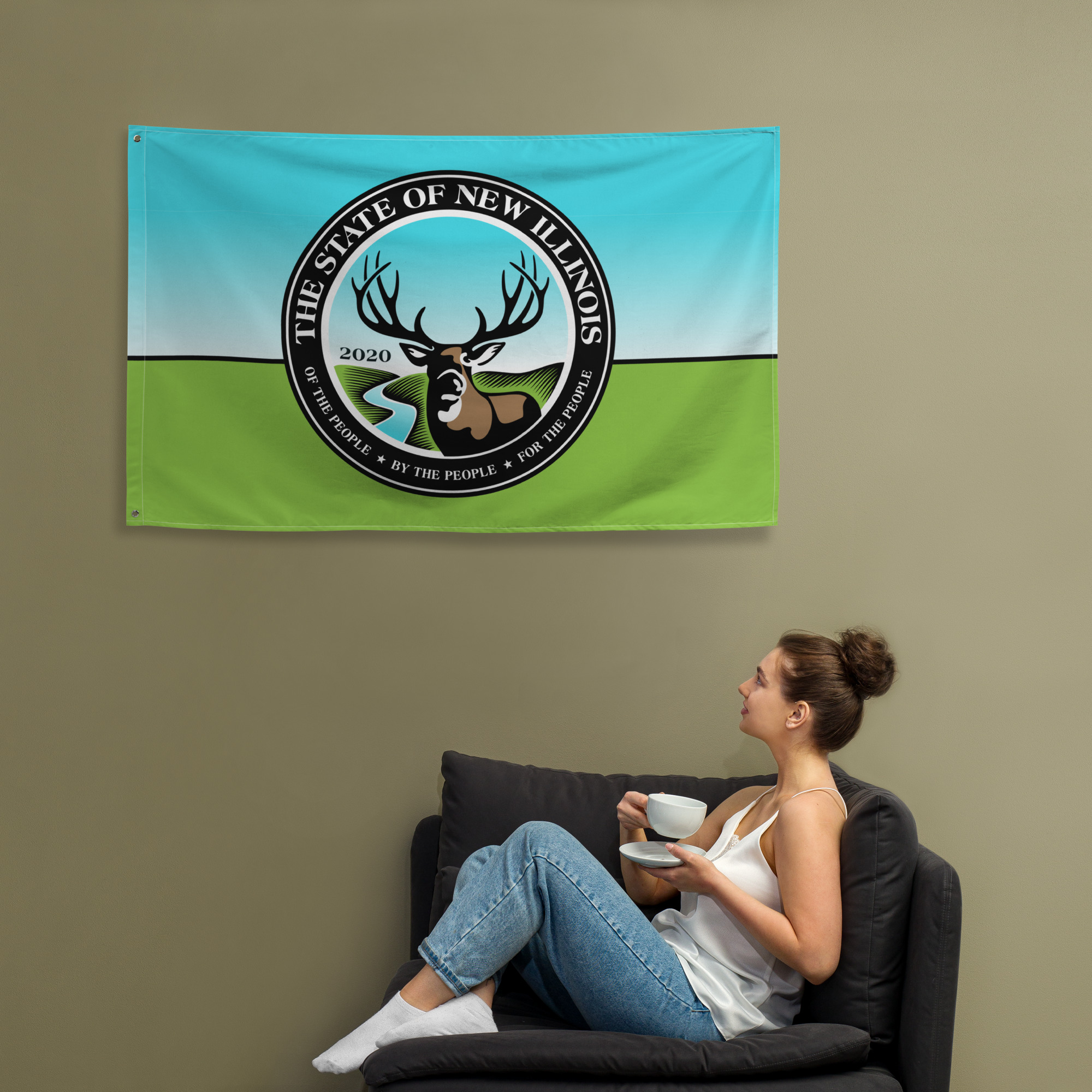 New Illinois Flag