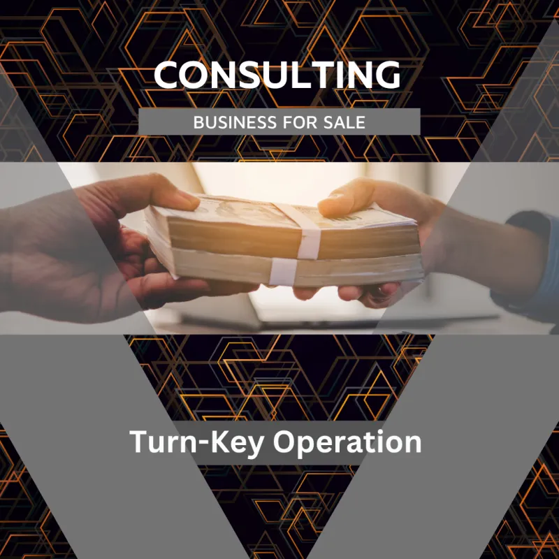 Consulting Financing Payment